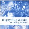 Julgryning vaknar - En samling julsånger (2004)