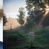 Smedjan, Stjärnsund