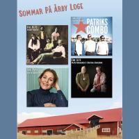 Helen and the other artists in Summet at Årby.Collage.