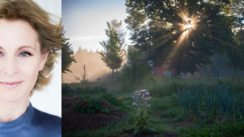 Permalänk till: Smedjan